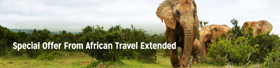 Special Offer From African Travel Extended